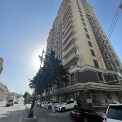Baku badamdar