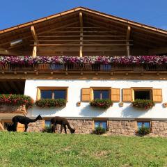 B&B Belvedere