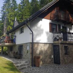 Apartma Escales -naselje Nune-Rogla