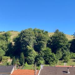 Du vert au cœur de la vallée de la fensch