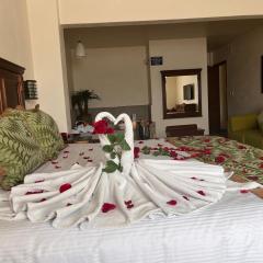 Hotel San Carlos Tequisquiapan