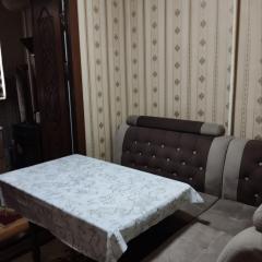 Janat's Guest House Amir Temur Park