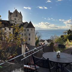 Mainaublick - TraumSeesicht mit Terrasse