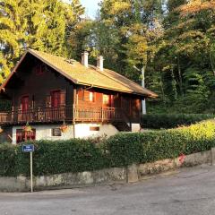 Lovely Cabin in front of Lake Geneva