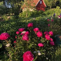 Naturnära på Ängaröds 1700-tals gård