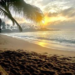 Coconut Palm beach restaurant and rooms