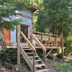 Cabañas en pucon