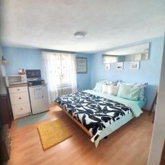 Comfortable Studio in Morschach, 15 m², Mountain View