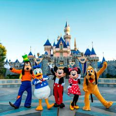 Disneyland & LittleSaigon