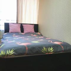 GU Freedom Home 403
