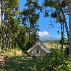 Glamping peumayen