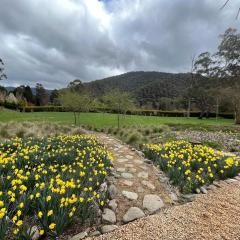 Treetops at Harrietville