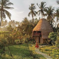 DD Bamboo Lodge
