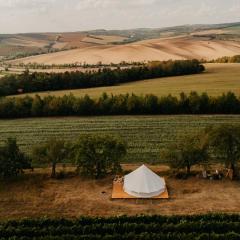 Bojanovská Glamping