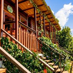 Ecodreamers Curiti