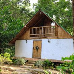 Alojamiento rural Ecoparque La Motilona Paicol, Huila - Cabaña la Motilona
