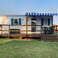 Atlantic Shell Bungalow