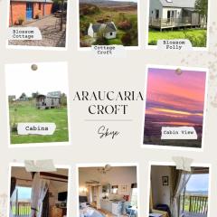 Araucaria Croft Skye