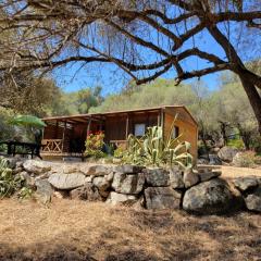 Chalet Cosy - U Nestru