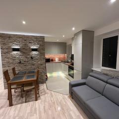 Luxurious stay at modern apartment (Cesis)