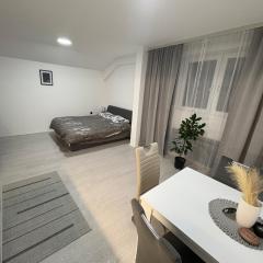 Fenix Apartman III