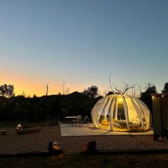 Bubble Hotel