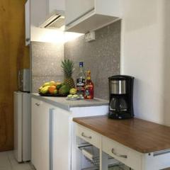 Smart-lidays SXM