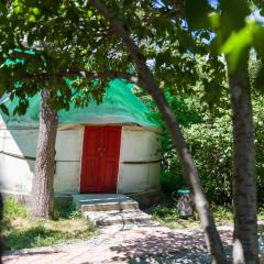Arista Yurt Camp