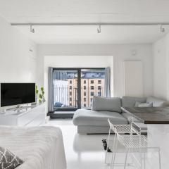 Scandinavian attic apartment in the city center