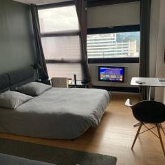 Appartement Gare Lille Europe