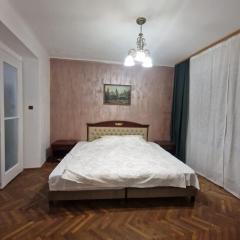 Nyko's Apartment