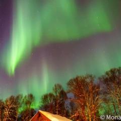 Susitna River Lodging, Suites