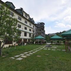 Hotel Celebriti Inn by London vista Hotels - Old Manali