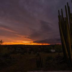 Halala Africa Lodge - Eagle Rock Lodge