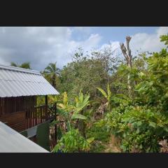 Lala's Place