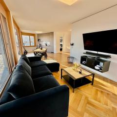 Cosy apartment in Lausanne