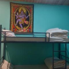 Area51 cafeandfarmstay