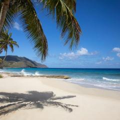 Carambola Beach Resort St. Croix, US Virgin Islands