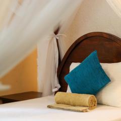 Xotic Resort