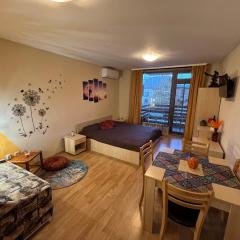 Aspen Suites Студио Слънчев ден