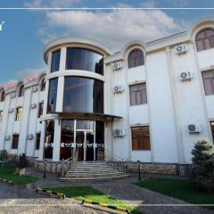 Hotel Saroy palace in Qarshi city