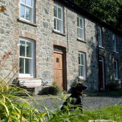 Bronfelin & Troed-y-Rhiw Holiday Cottage