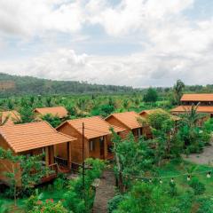 Homestay Dream hill