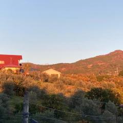 個室204シングル3台駅徒歩6分Atami Hakoneも近いゲストハウス真鶴