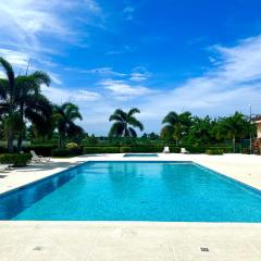 Dell's Exotic Haven, 2 bedrooms, 2 baths, pool, gym