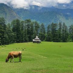 Holiday Home shangharh