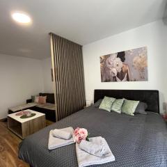 Vlasic Apartmani HANA