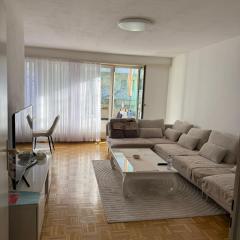 Eurovision Apartment Basel Zentral & Komfortabel