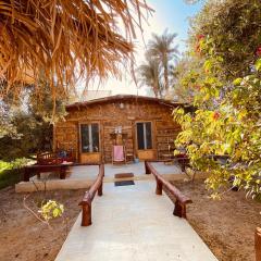 Casa Byoum jungle
