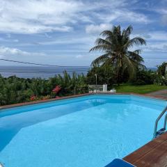 T3 Carbet vue mer piscine et location auto possible